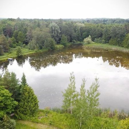 Cottage Retreat On 11 Acres Flesherton Экстерьер фото