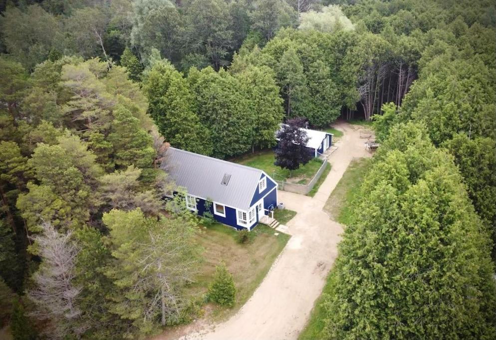 Cottage Retreat On 11 Acres Flesherton Экстерьер фото