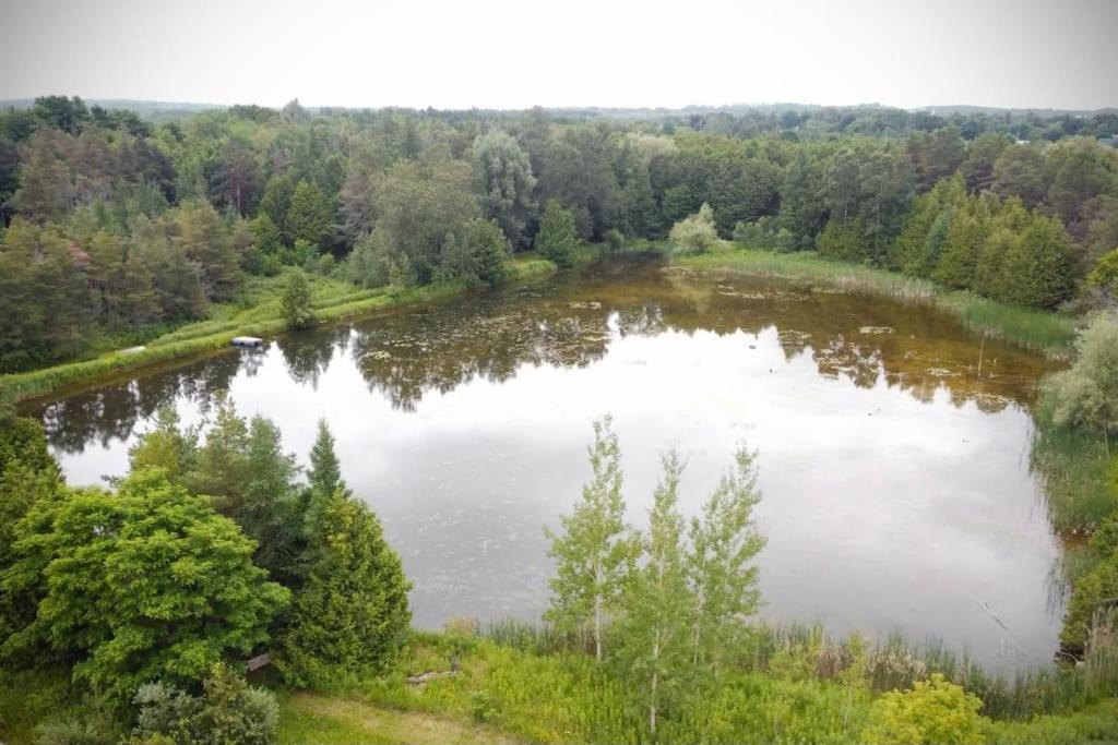 Cottage Retreat On 11 Acres Flesherton Экстерьер фото